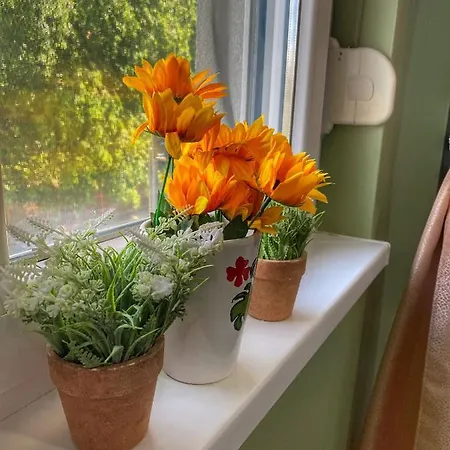 Diana Appartement Sremska Mitrovica