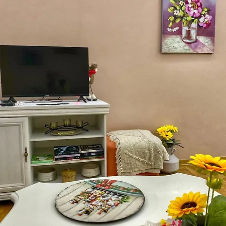 Diana Sremska Mitrovica