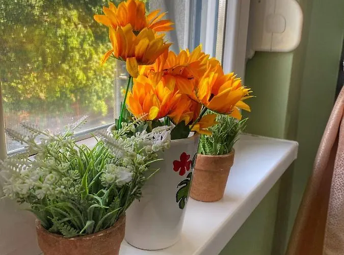 Diana Apartament Sremska Mitrovica